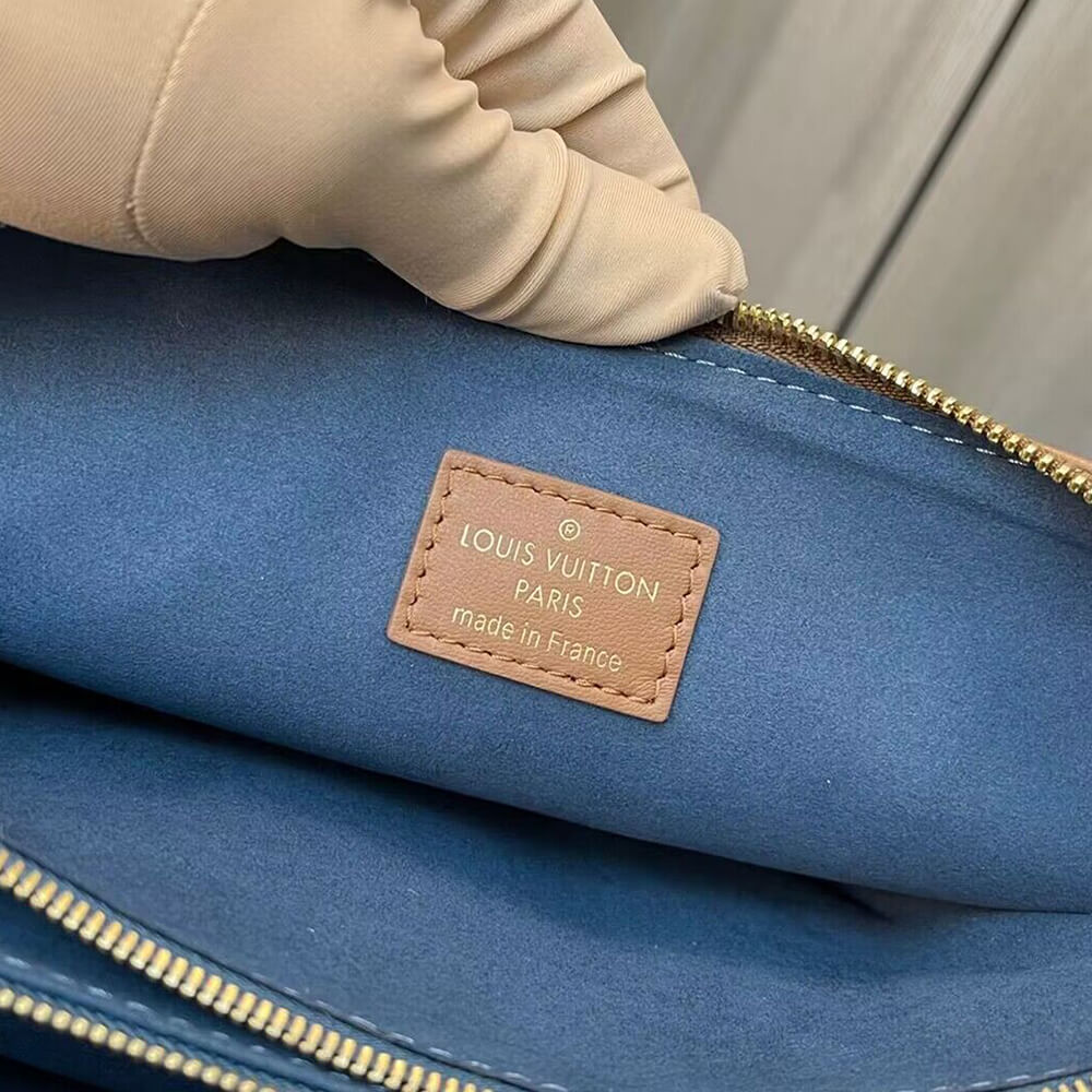 LV Coussin PM Handbag