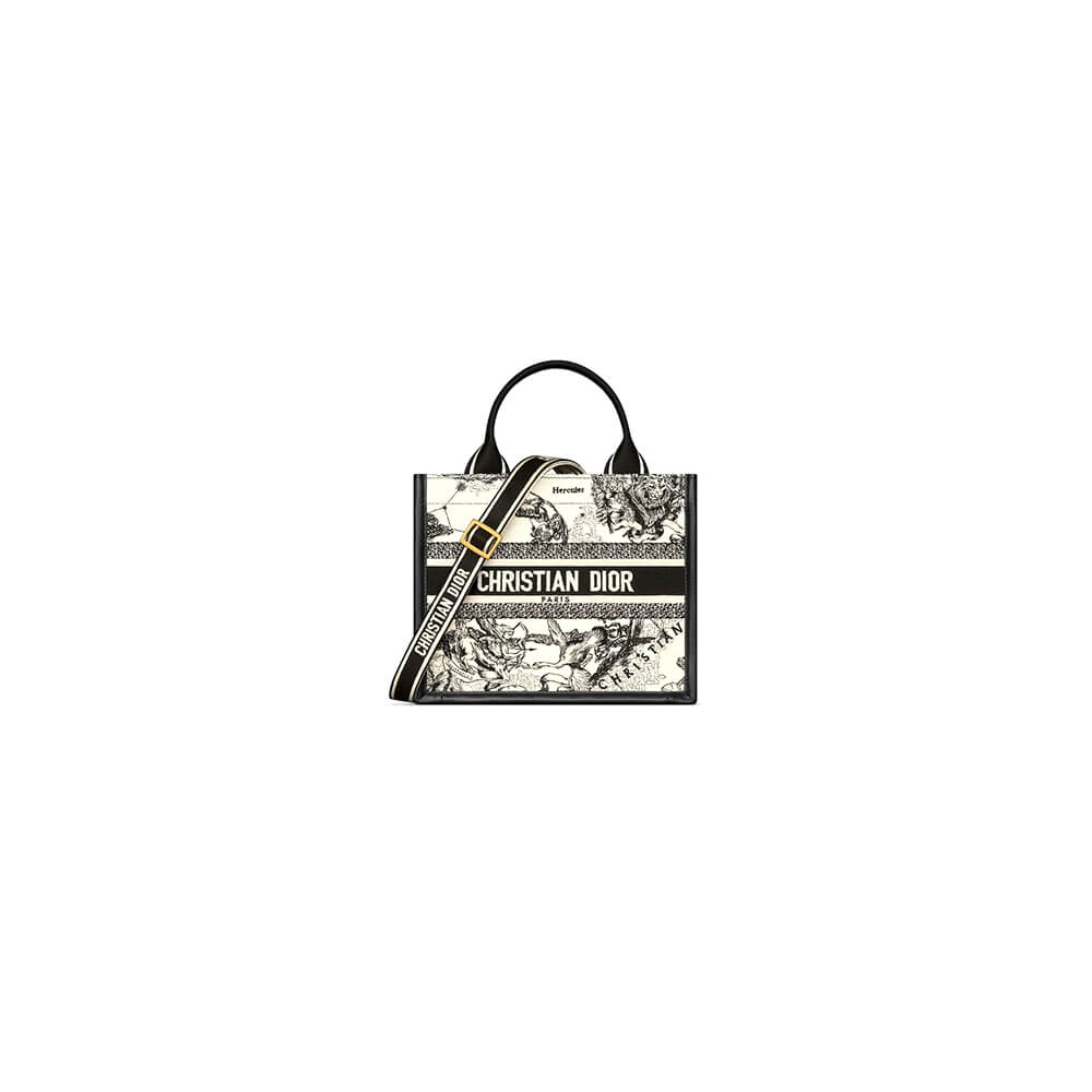 Small Dior Book Tote